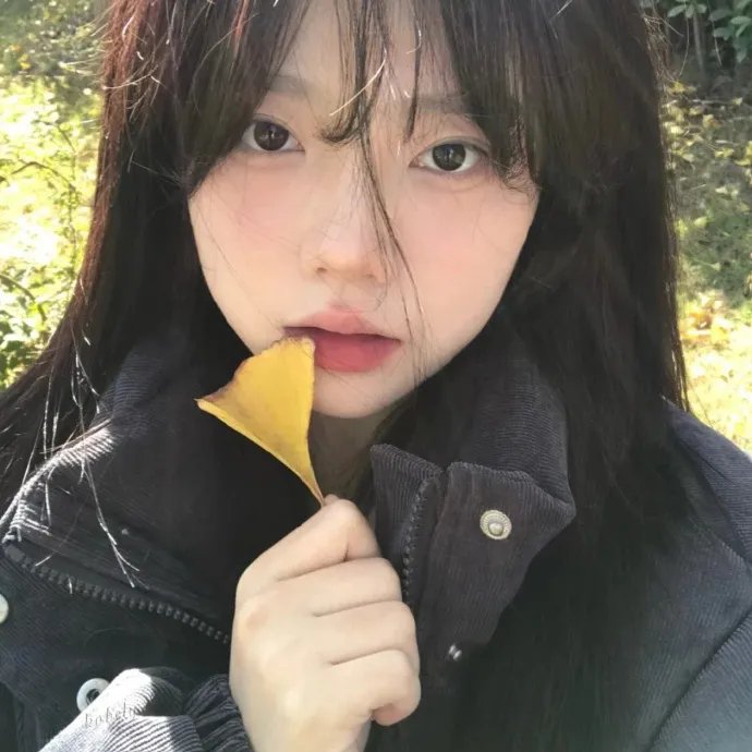 狗狗与你的故事